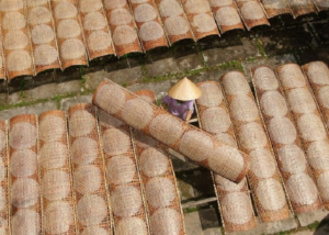 Lịch Sử Bánh Tráng